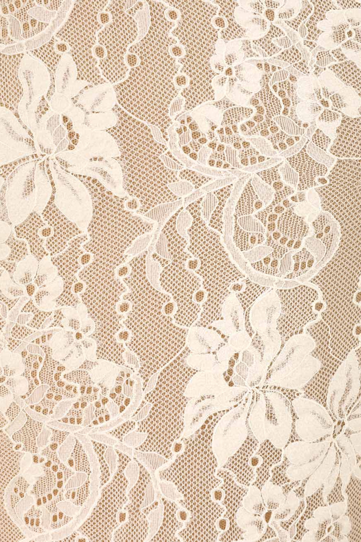 Abdala Lace Bodysuit - Beige