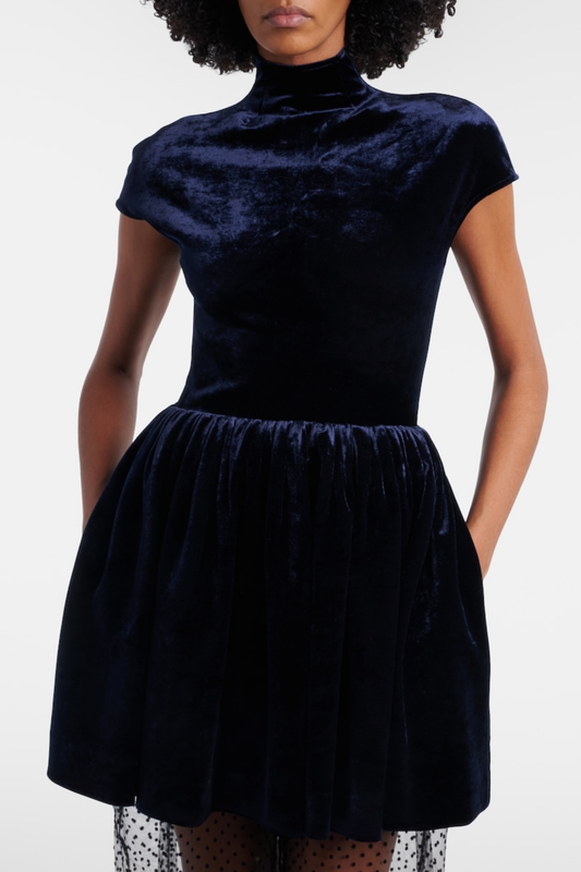 Benton Velvet Polka Dot Tulle Maxi Dress - Blue