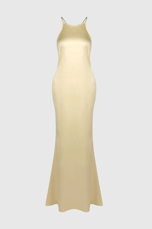 Daisya Satin Backless Maxi Dress - Gold