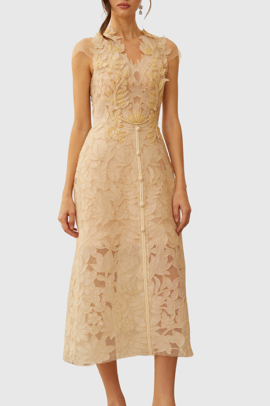 Glinda Floral Appliqué Midi Dress - Beige