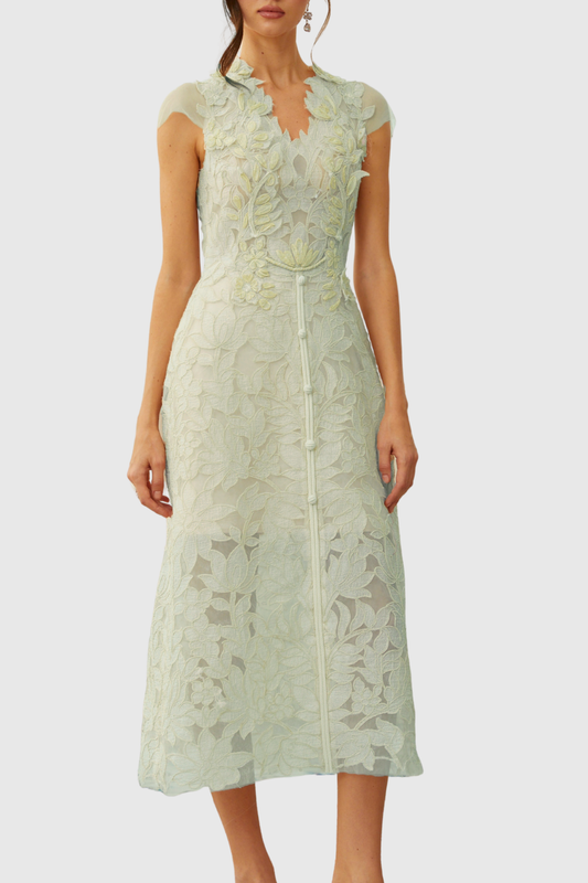 Glinda Floral Appliqué Midi Dress - Green