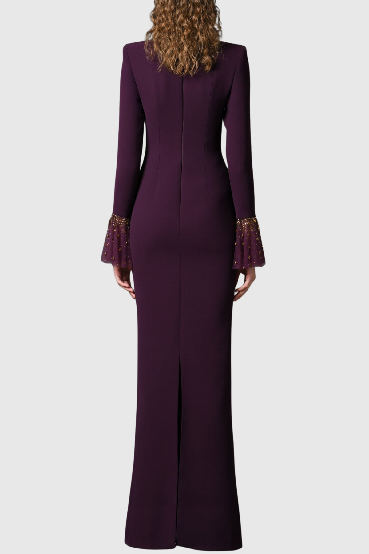 Leviara Crystal Embellished Mesh Maxi Dress