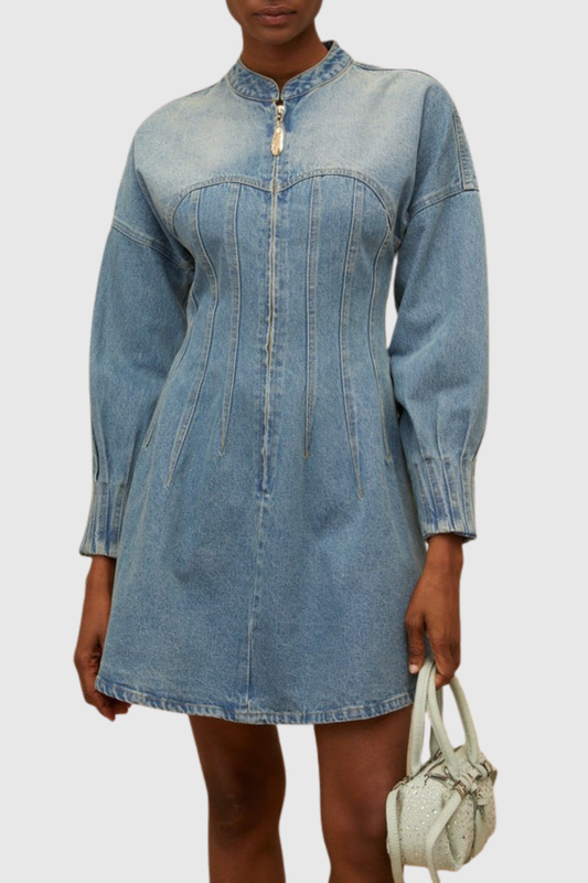 Manya Corset Denim Mini Dress