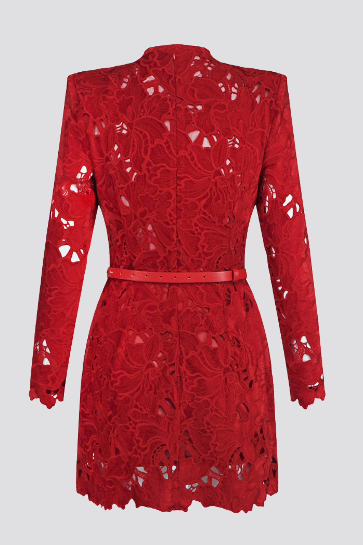 Medea Floral Lace Mini Dress