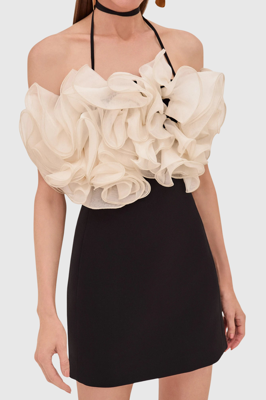 Vasco Floral Ruffle Mini Dress