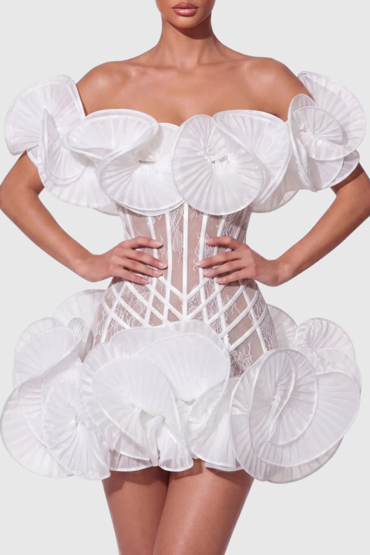 Zamaria Off Shoulder Lace Corset Mini Dress - White