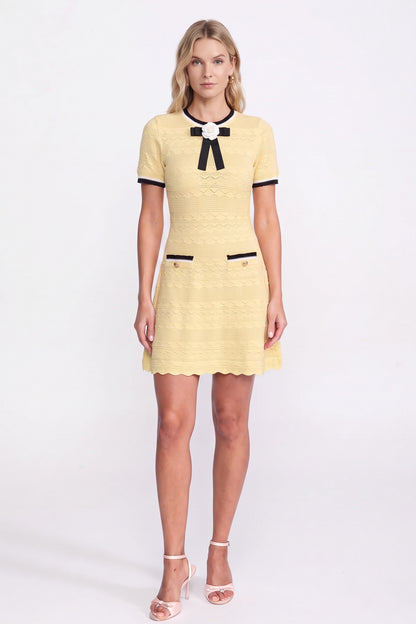 Pale Yellow Textured Pointelle Knit A-Line Dress with Contrast Trim pale yellow textured pointelle knit dress - product view 1