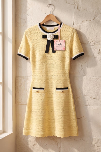 Pale Yellow Textured Pointelle Knit A-Line Dress with Contrast Trim pale yellow textured pointelle knit dress - product view 2