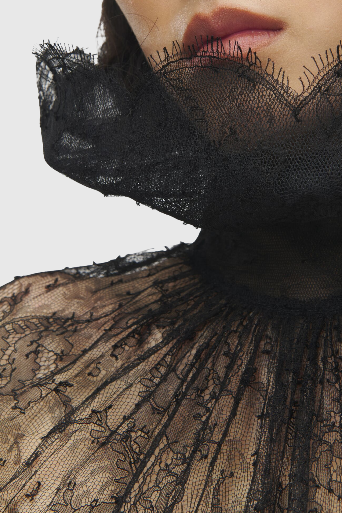 Acacia Lace Top