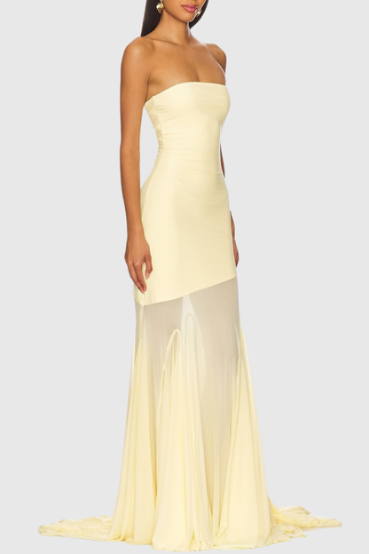 Alberto Strapless Mesh Maxi Dress - Yellow