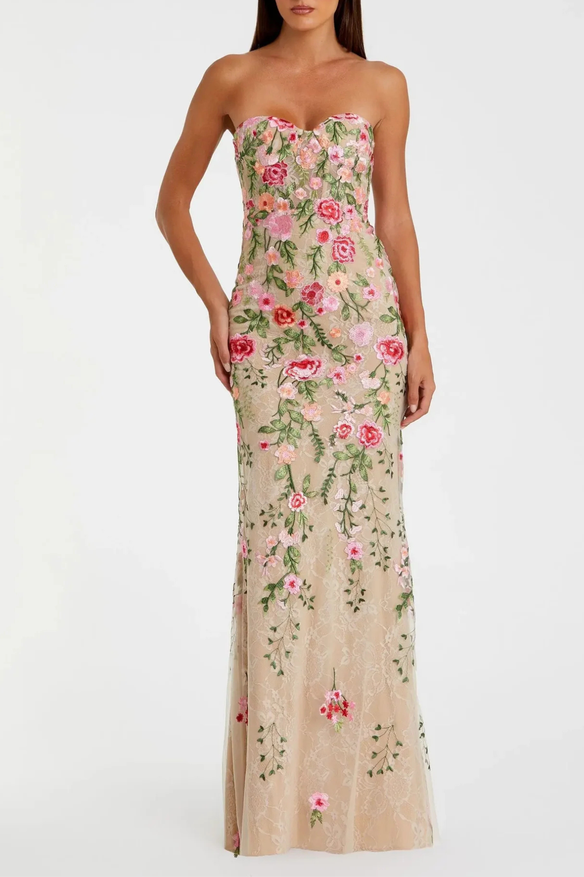 Aloe Floral Embroidered Strapless Maxi Dress