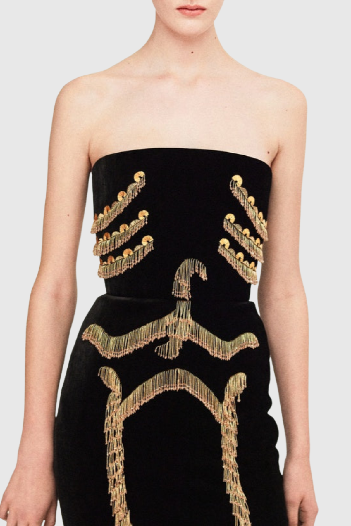 Annabet Strapless Embroidered Mini Dress