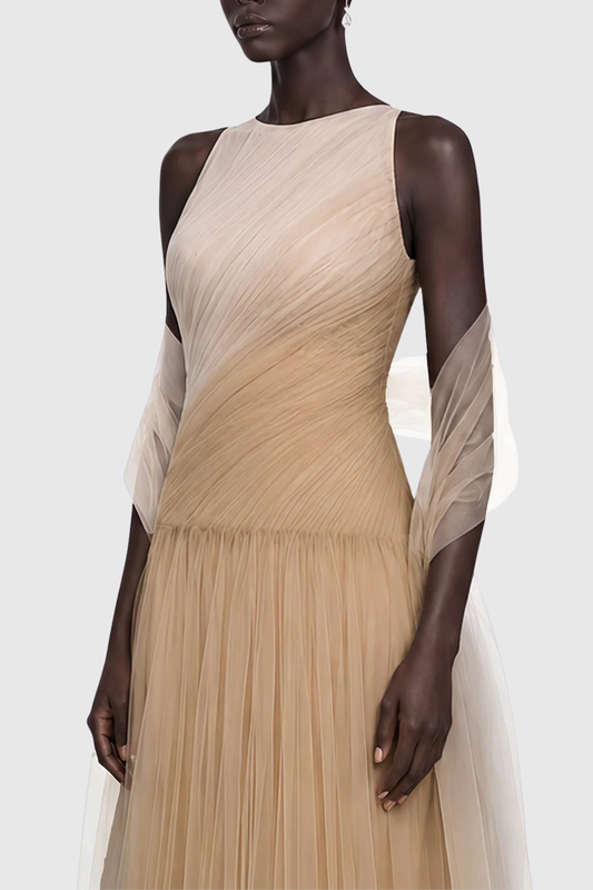 Asyche Mesh Ruched Panels Maxi Dress