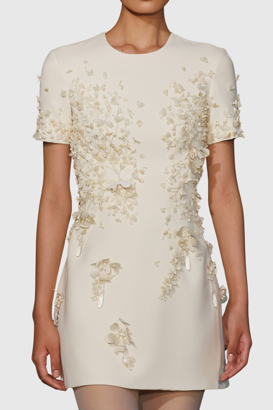 Baraka Floral Appliqué Mini Dress