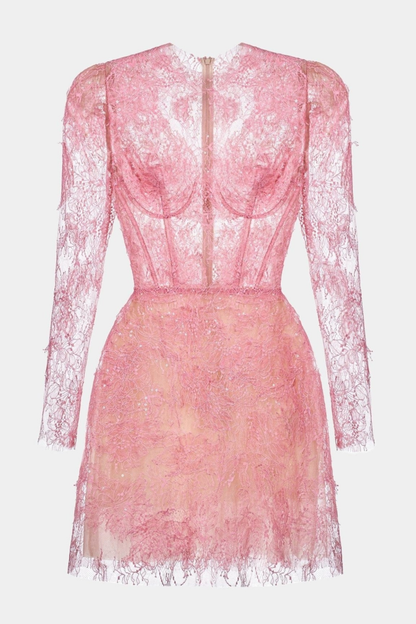 Batya Lace Long Sleeve Mini Dress - Pink