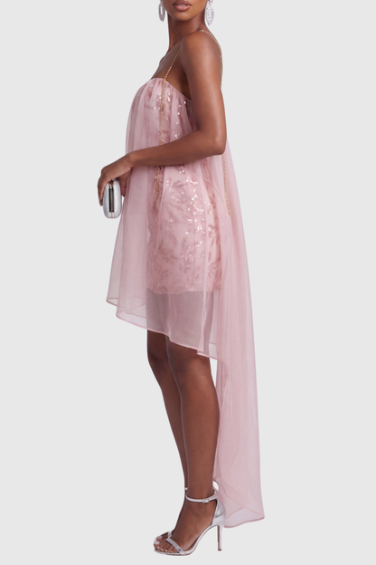 Belami Mesh Sequin Embellished Mini Dress