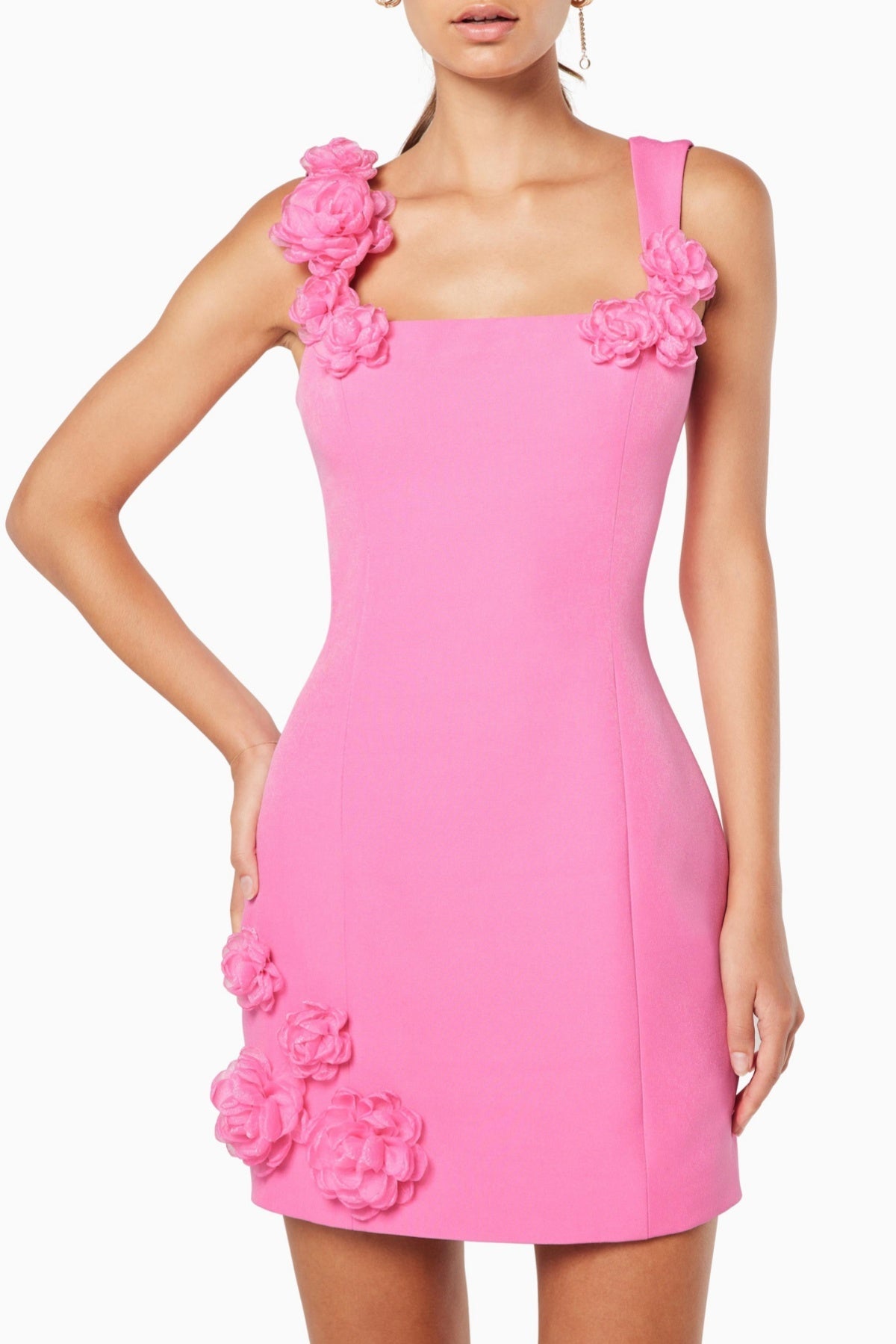 Dilanne Floral  Appliqué Mini Dress - Pink