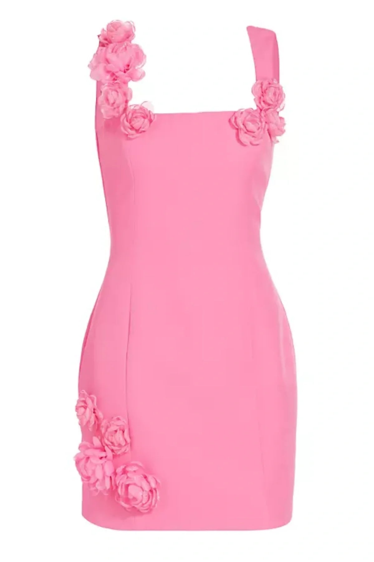 Dilanne Floral  Appliqué Mini Dress - Pink
