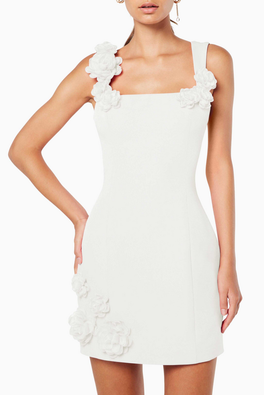 Dilanne Floral  Appliqué Mini Dress - White