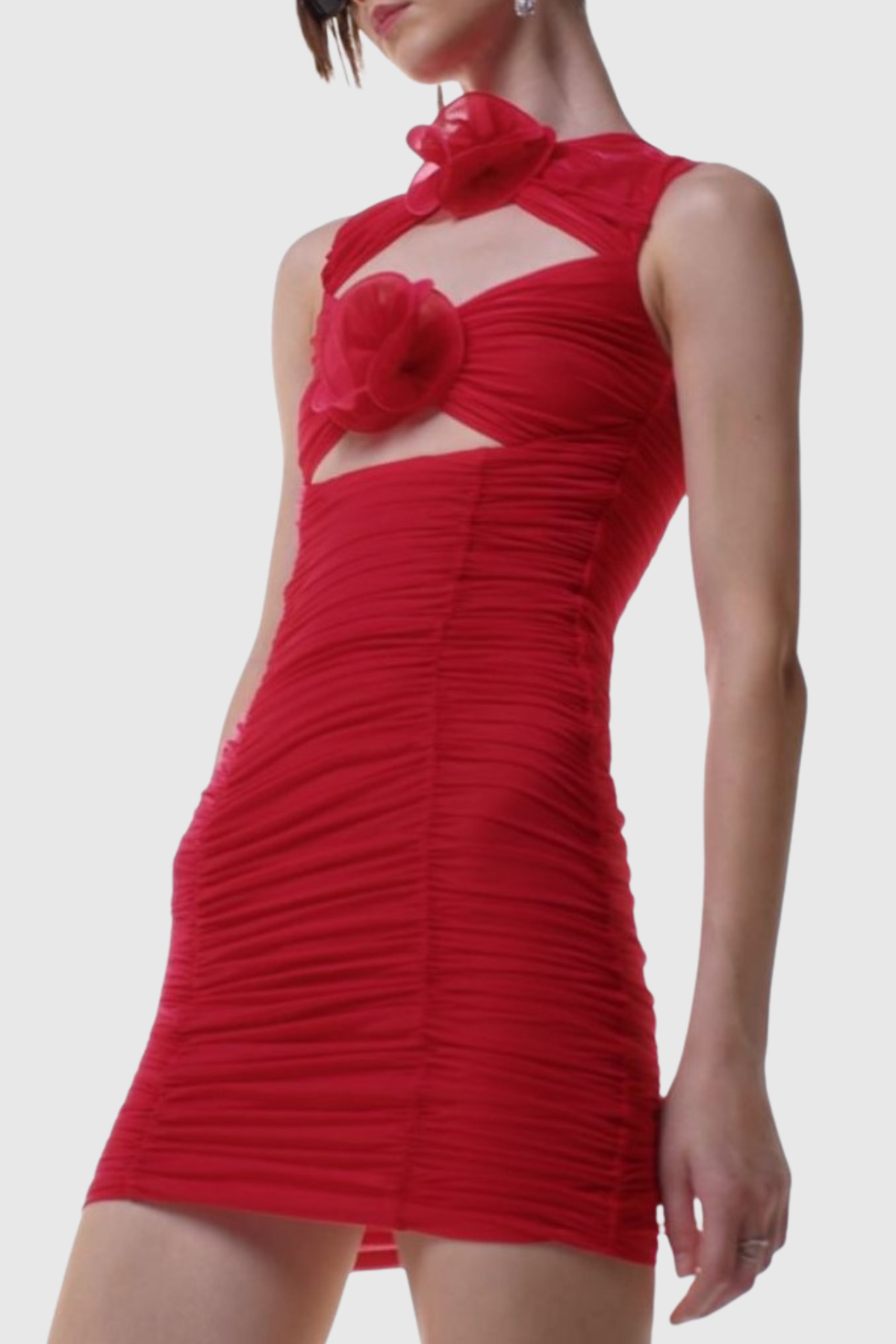 Earls Floral Sleeveless Ruched Mesh Mini Dress