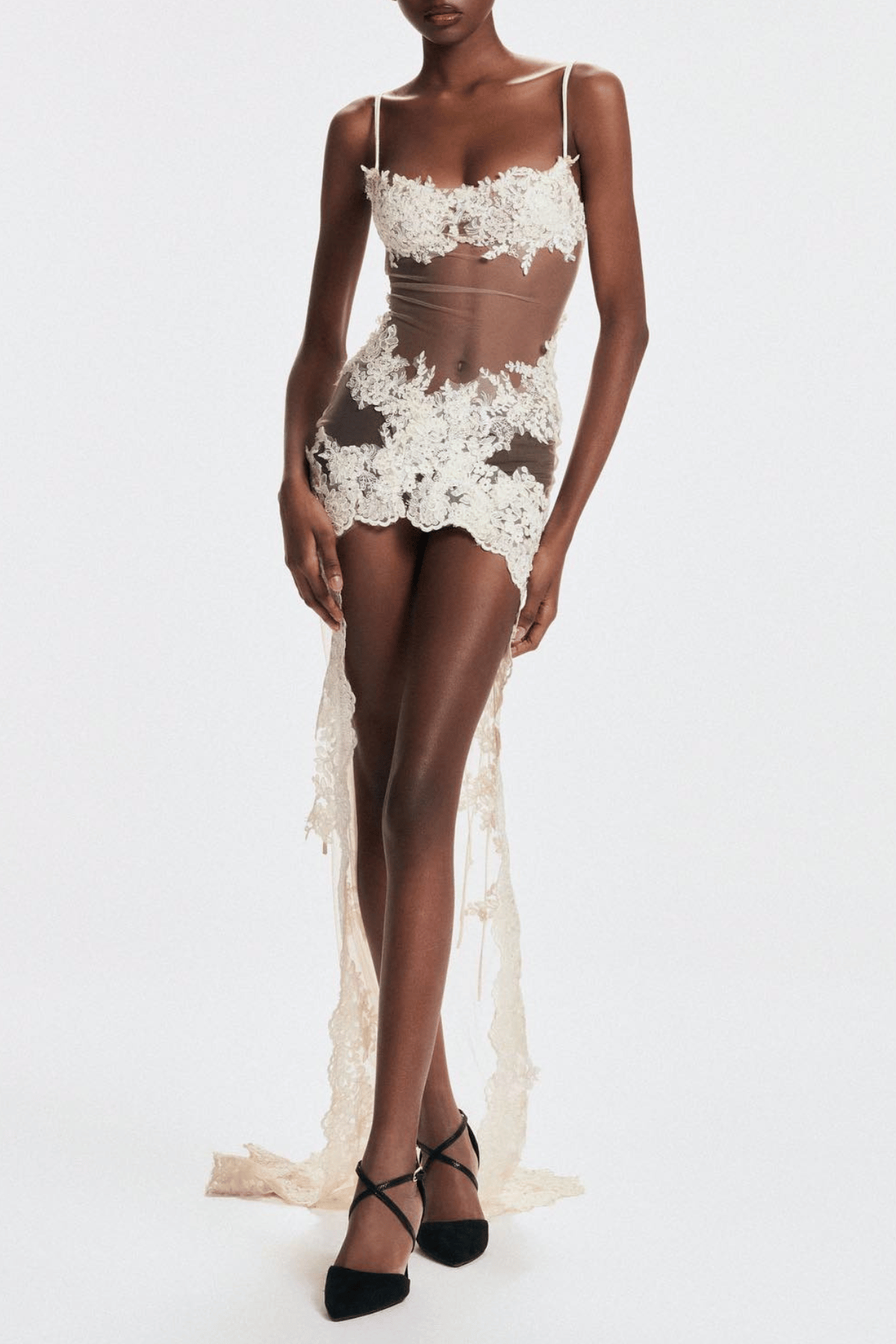 Evanthe Lace Sheer Maxi Dress