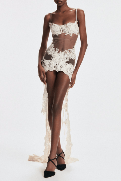 Evanthe Lace Sheer Maxi Dress