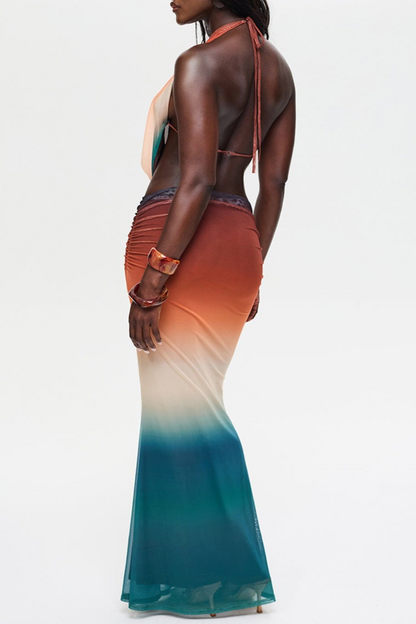 Faunia Mesh  Gradient Top & Skirt Set