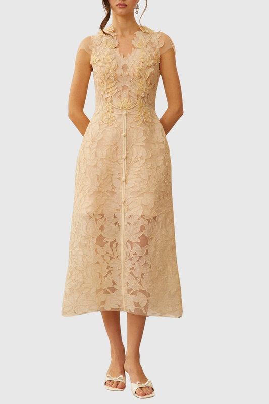Glinda Floral Appliqué Midi Dress - Beige