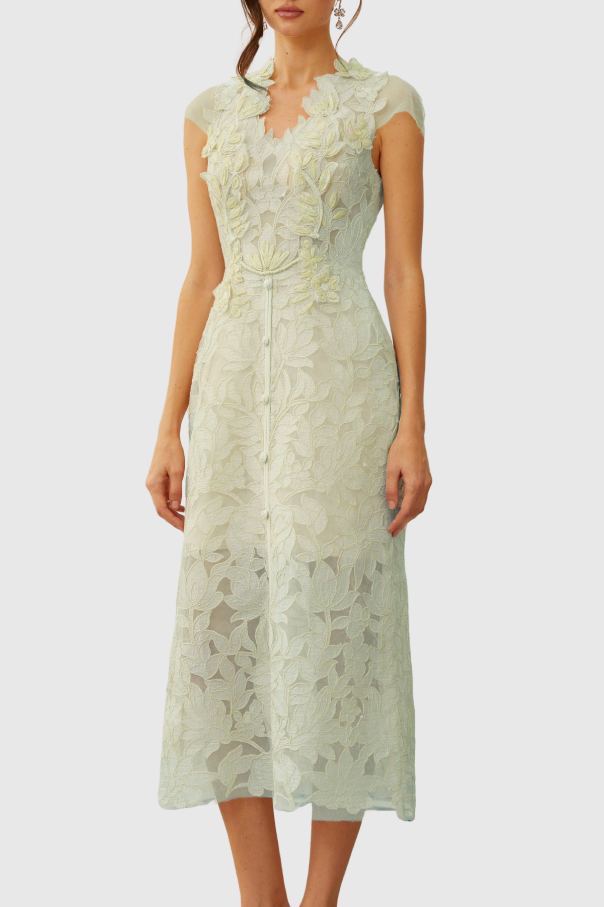 Glinda Floral Appliqué Midi Dress - Green
