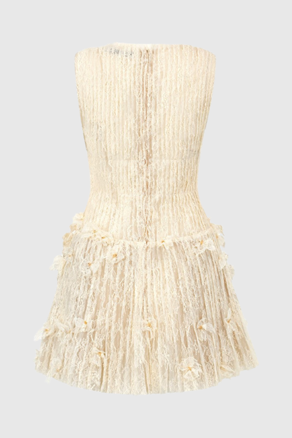 Hermra Lace Pleated Sleeveless Mini Dress - Beige
