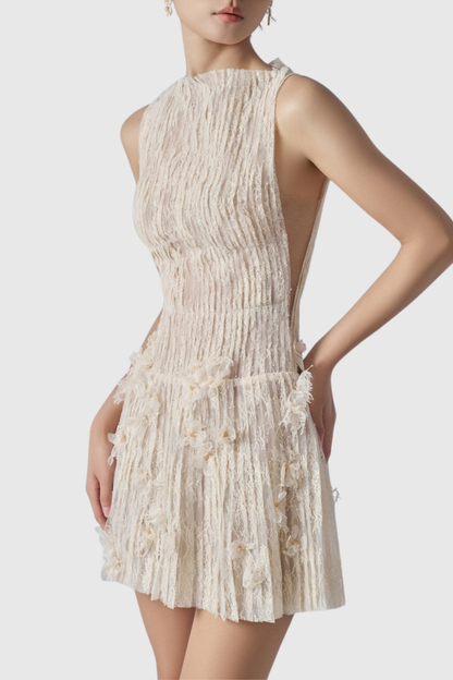 Hermra Lace Pleated Sleeveless Mini Dress - Beige
