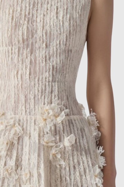 Hermra Lace Pleated Sleeveless Mini Dress - Beige