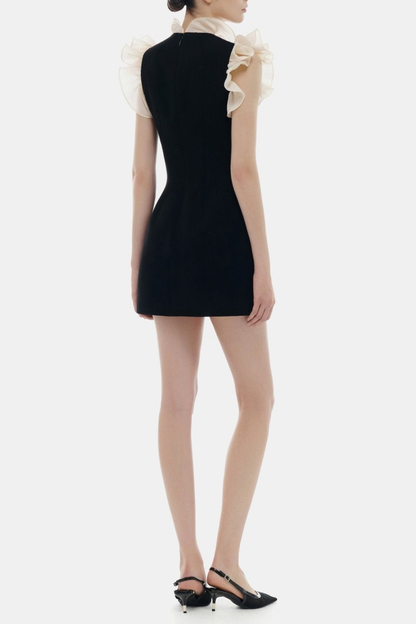 Joraca Ruffle Plunge Mini Dress