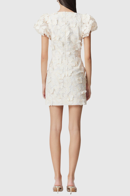 Kailee Butterfly Embroidered Mini Dress