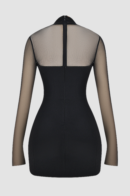 Kieran Halter Plunge Mesh Mini Dress