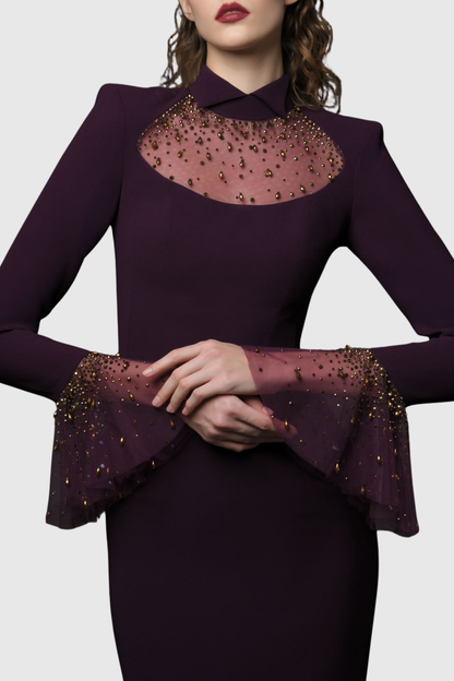 Leviara Crystal Embellished Mesh Maxi Dress