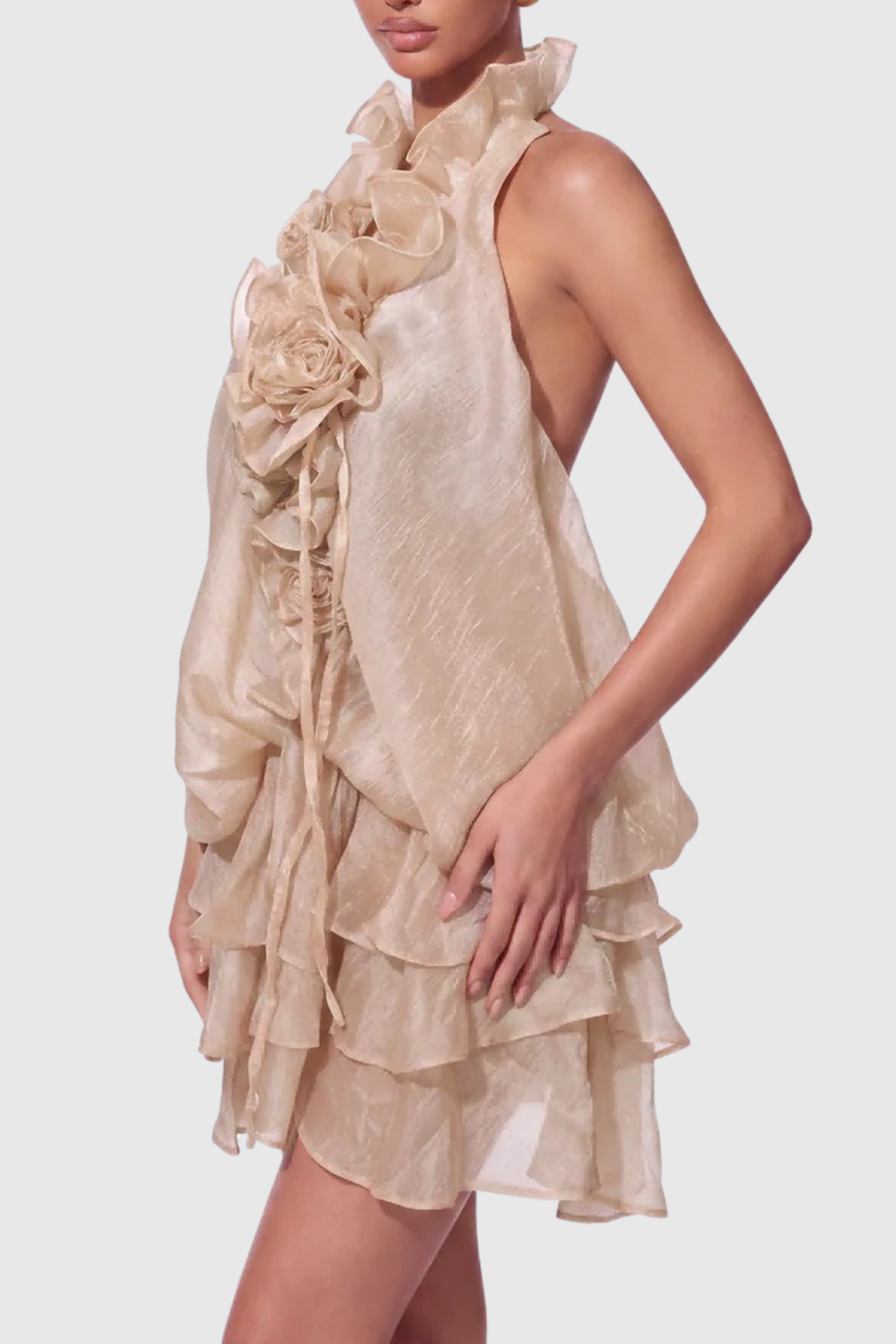 Lolanthe Floral Ruffle Tiered Mini Dress - Brown