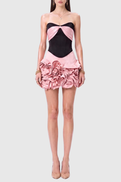 Mamie Strapless Corset & Mini Skirt Set - Pink