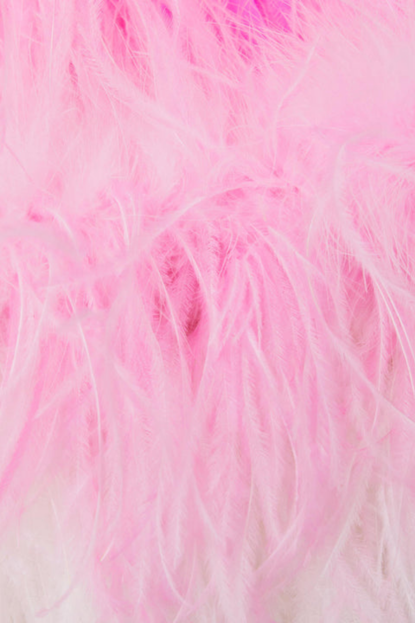 Manja Diamante Chiffon Feather Maxi Dress - Pink