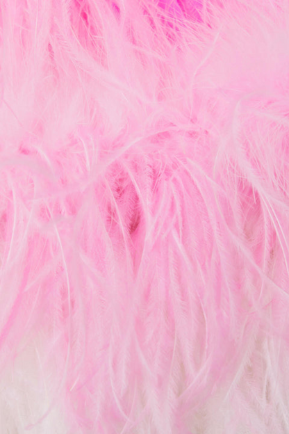 Manja Diamante Chiffon Feather Maxi Dress - Pink