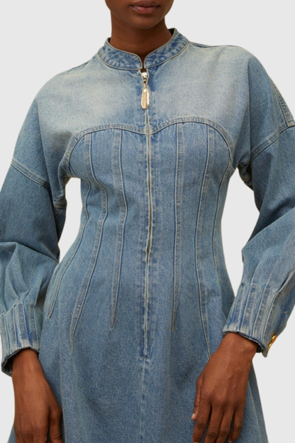 Manya Corset Denim Mini Dress