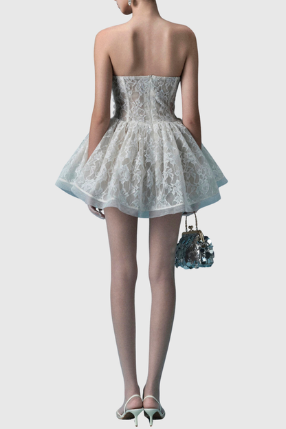 Millera Strapless Lace Mini Dress