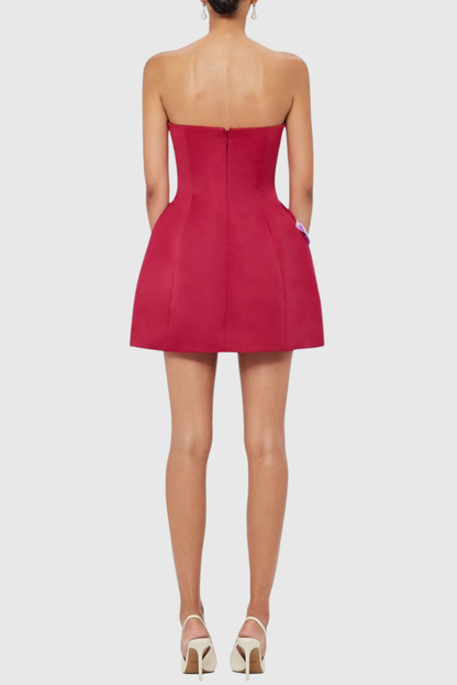 Mimoza Floral Appliqué Strapless Mini Dress - Hot Pink