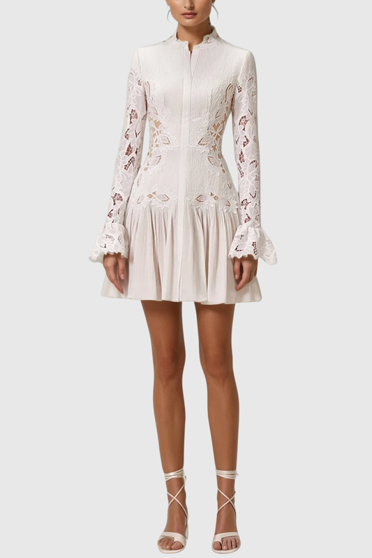 Nabby Embroidered Pleated Mini Shirt Dress
