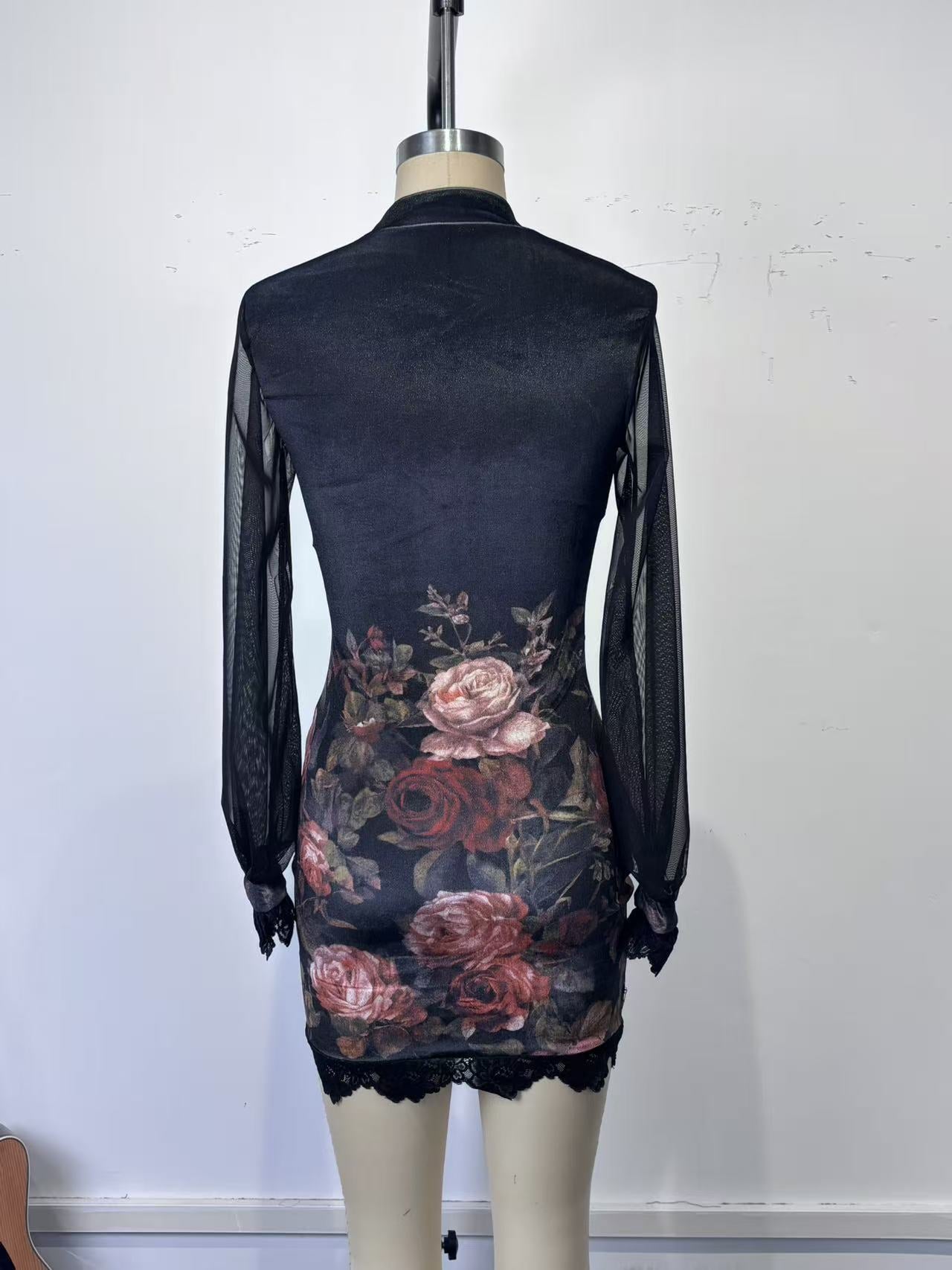 Lace trim and printed mesh bodycon mini dress
