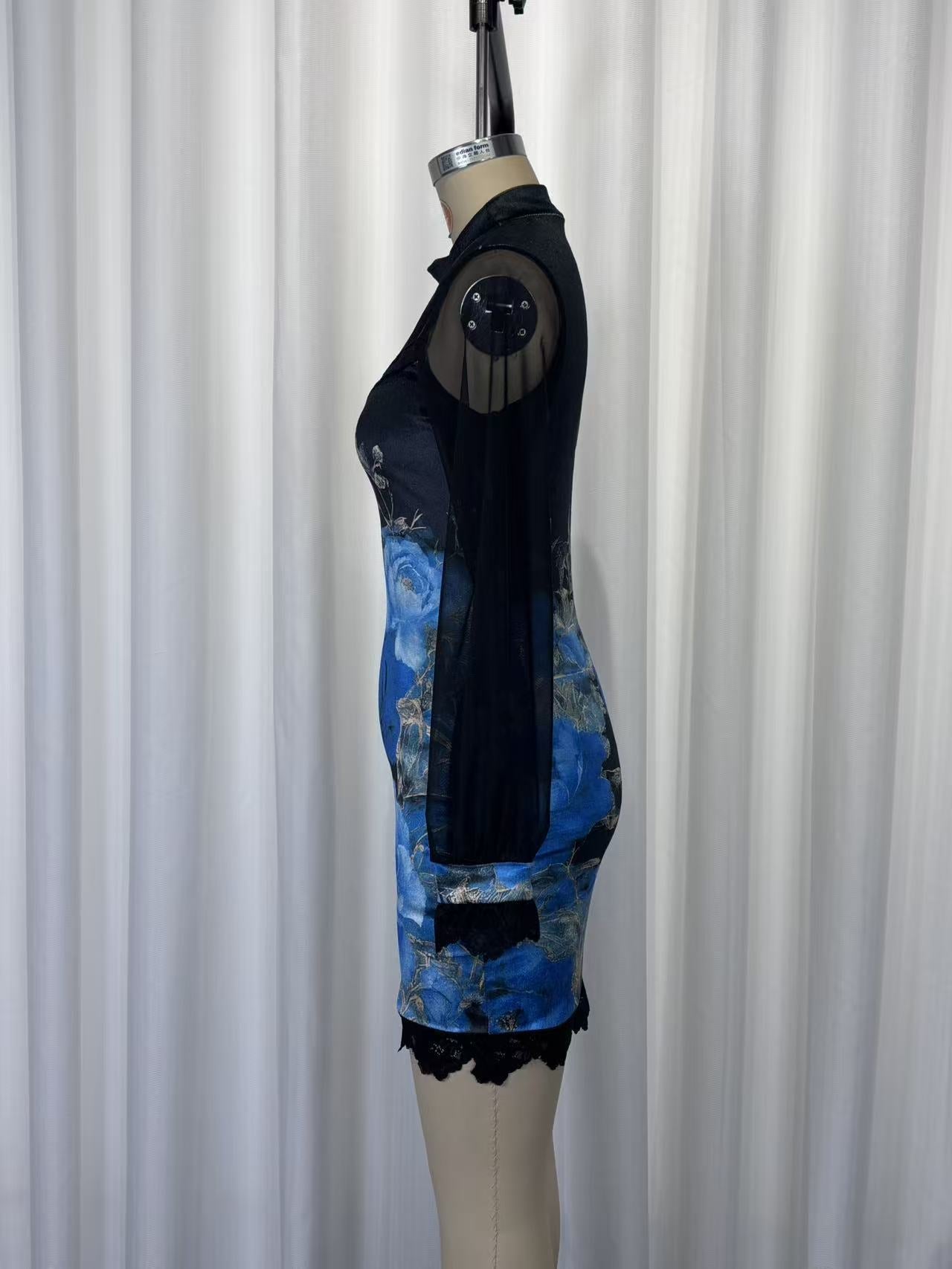 Lace trim and printed mesh bodycon mini dress