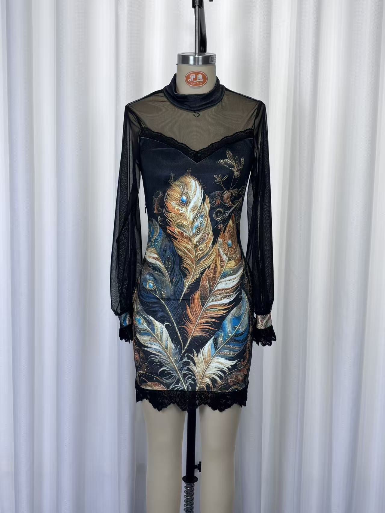 Lace trim and printed mesh bodycon mini dress