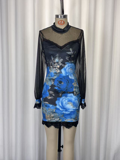 Lace trim and printed mesh bodycon mini dress
