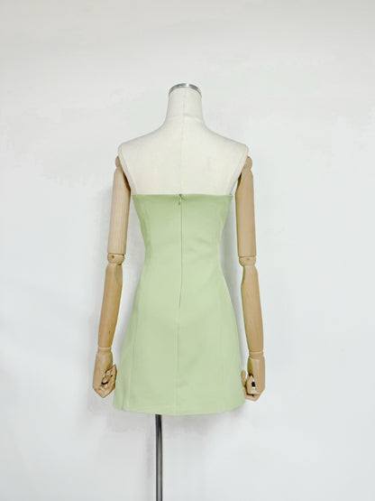 Light Green Structured Woven Crepe A-Line Mini Dress with Floral Embroidery