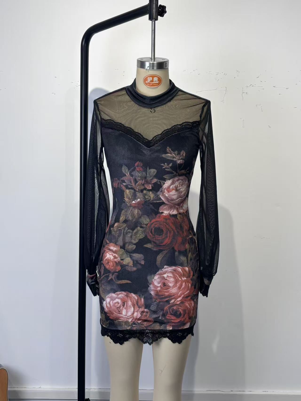 Lace trim and printed mesh bodycon mini dress
